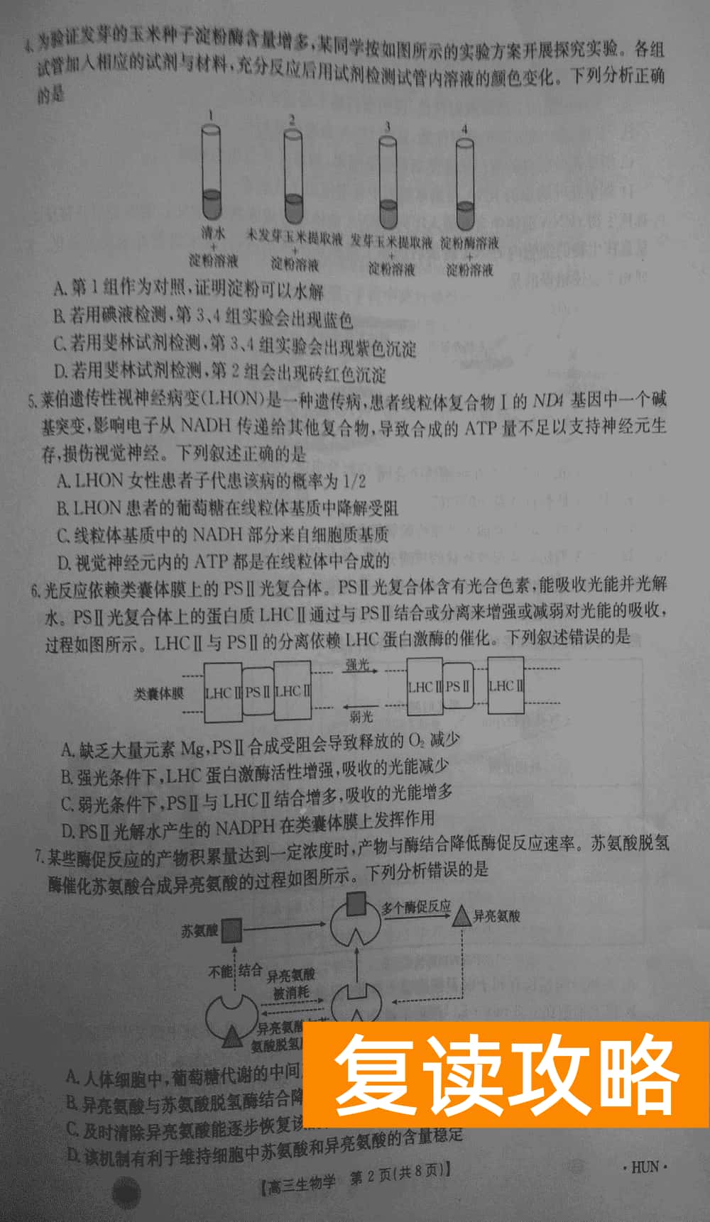 湖南衡阳金太阳2024届高三11月期中考生物试题及答案