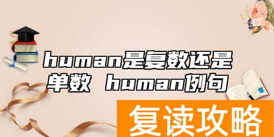 human是复数还是单数 human例句