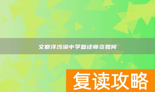 文郡洋沙湖中学复读师资如何