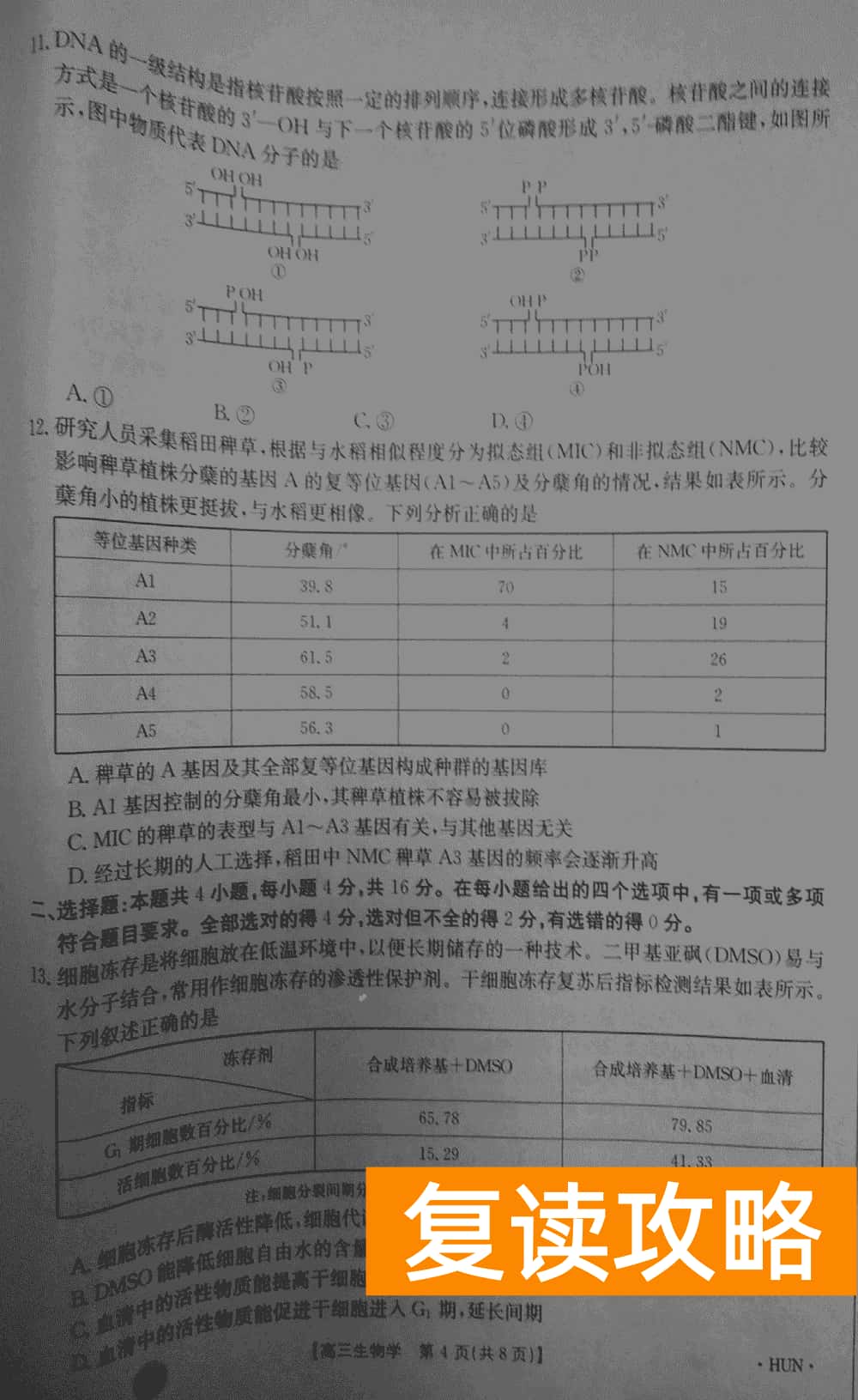 湖南衡阳金太阳2024届高三11月期中考生物试题及答案