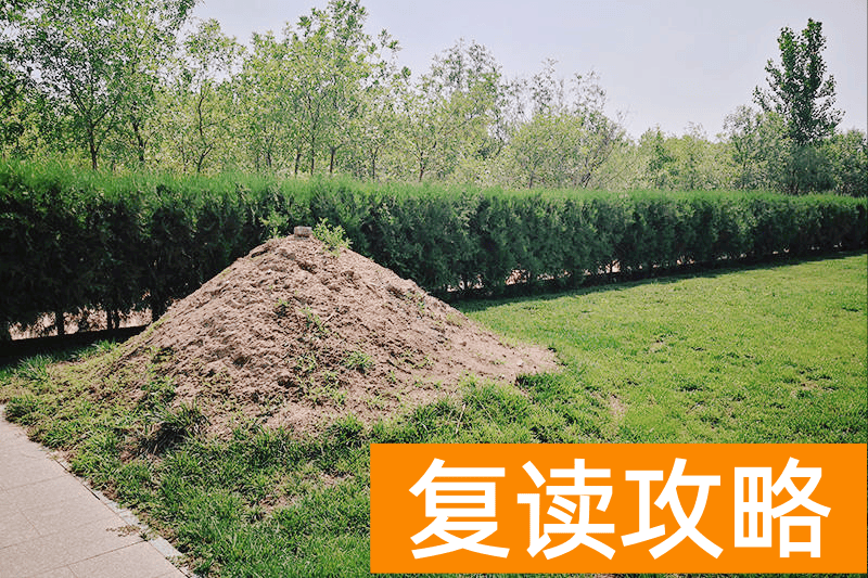 长沙复读生（双胞胎复读双入清华）