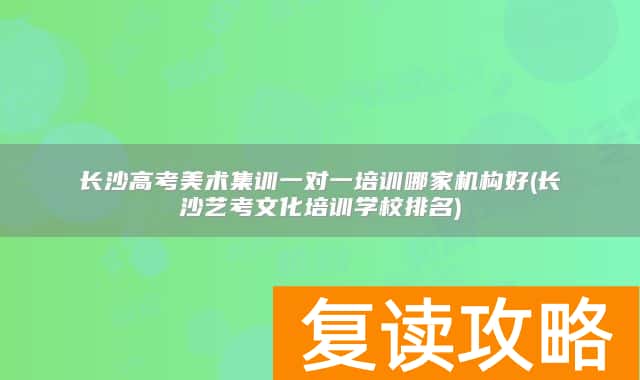 长沙高考美术集训一对一培训哪家机构好(长沙艺考文化培训学校排名)