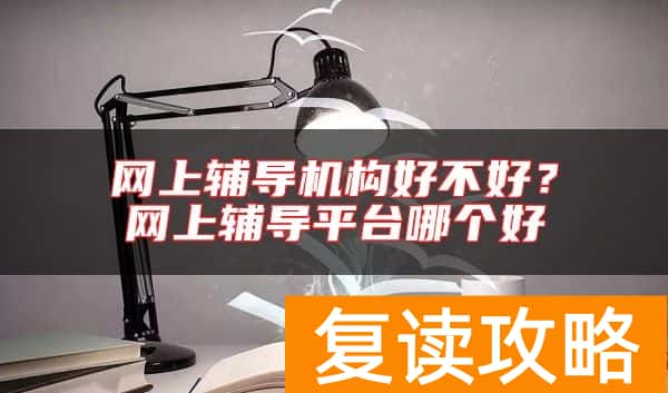 网上辅导机构好不好？网上辅导平台哪个好