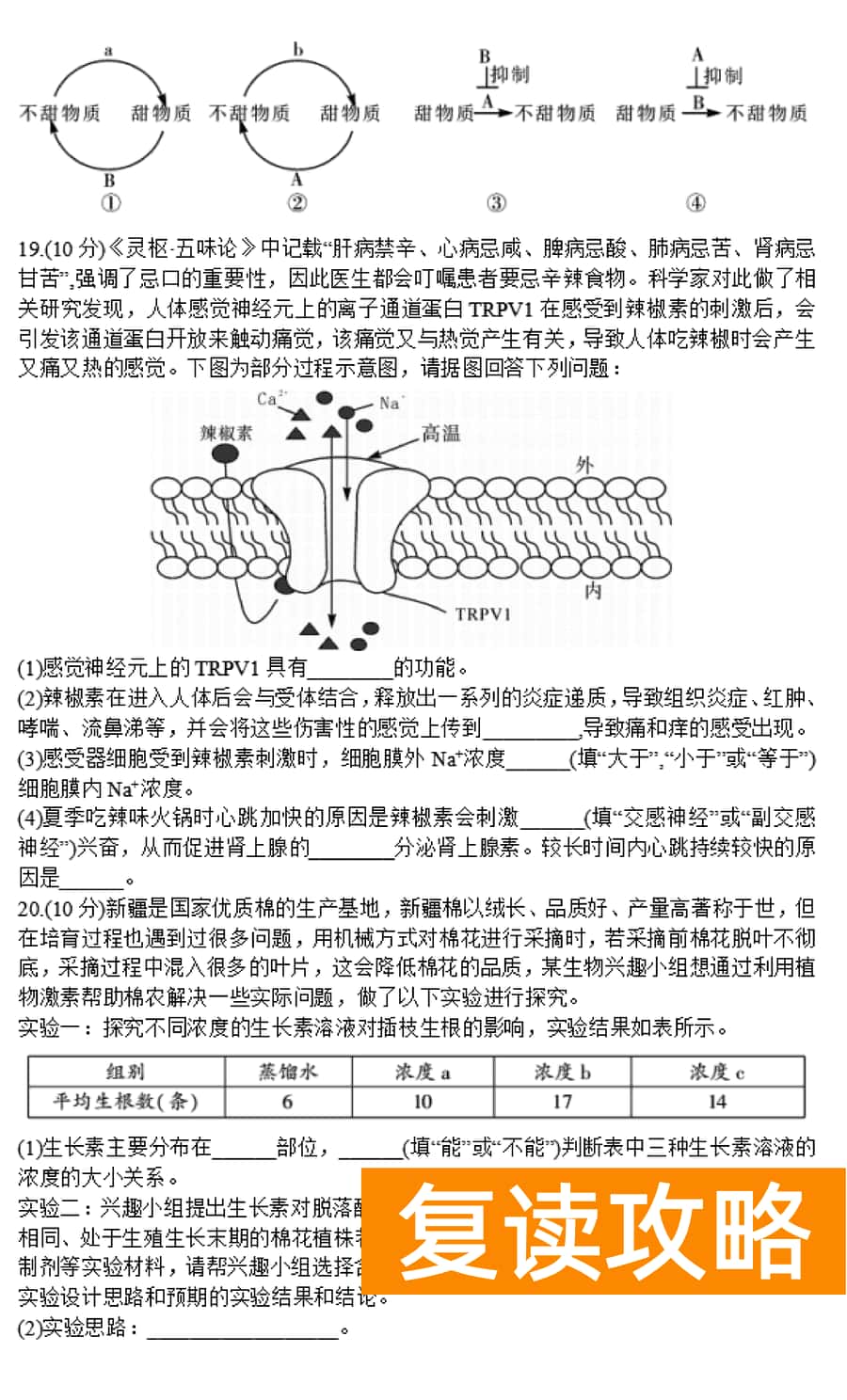 湖南邵阳一模2024届高三上第一次联考生物试卷及答案