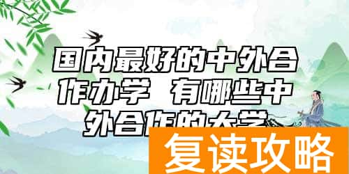 国内最好的中外合作办学 有哪些中外合作的大学
