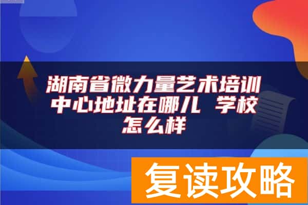 湖南省微力量艺术培训中心地址在哪儿 学校怎么样