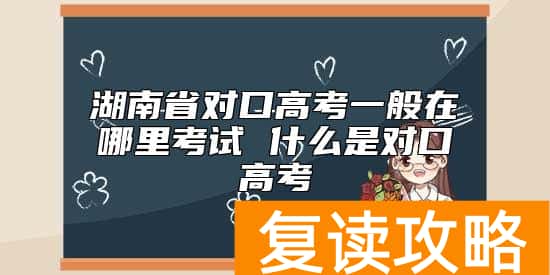 湖南省对口高考一般在哪里考试 什么是对口高考