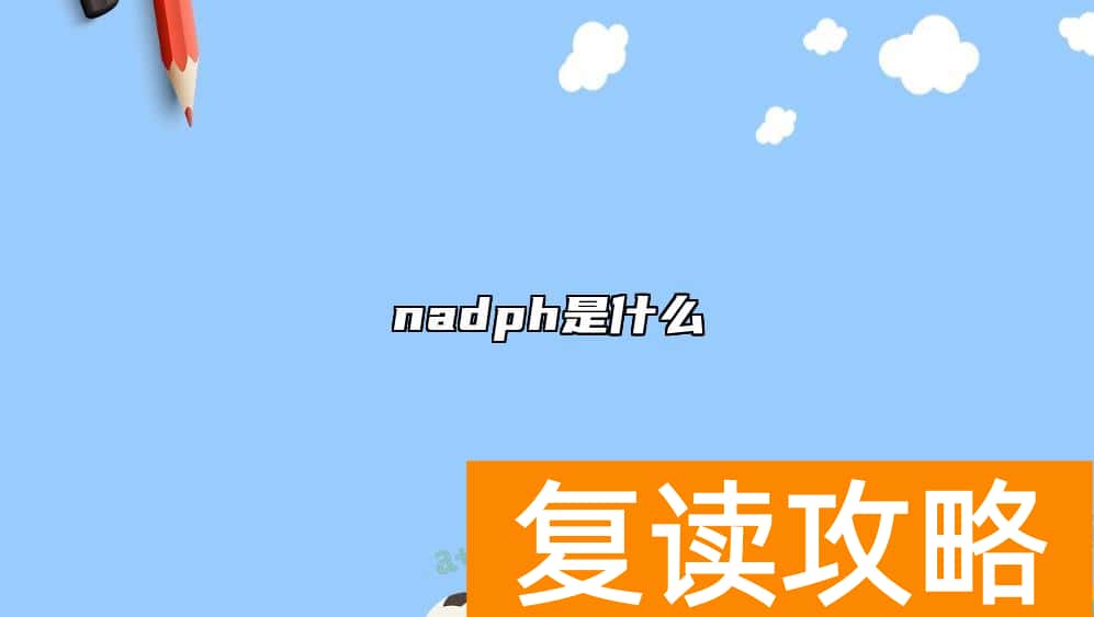 nadph是什么