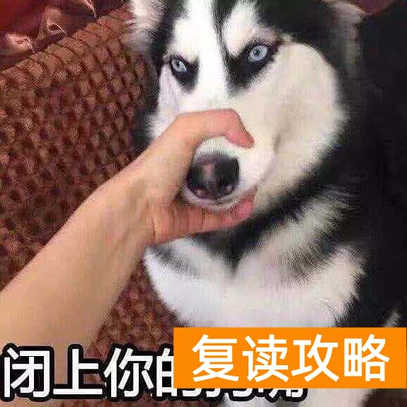 西安文森艺术培训学校（高考想走艺术路线，但是不会选择艺术培训学校怎么办？）