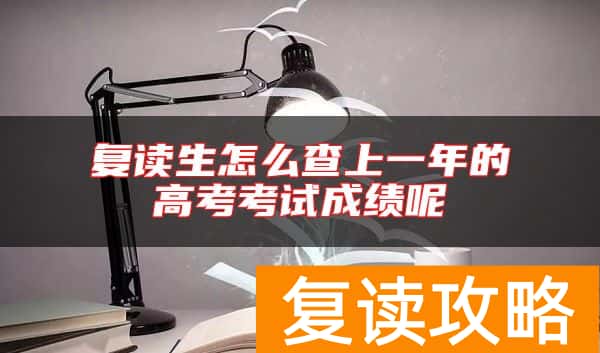 复读生怎么查上一年的高考考试成绩呢