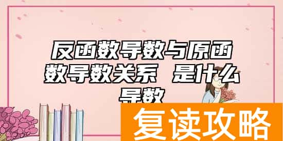 反函数导数与原函数导数关系 是什么导数