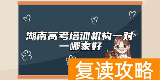 湖南高考培训机构一对一哪家好