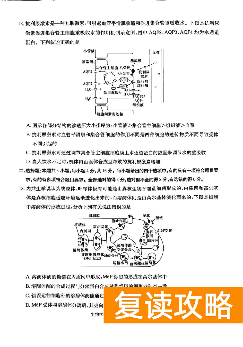 2024届湖南九校联盟高三第一次联考生物试题及答案