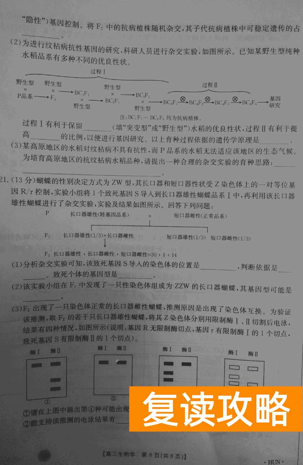 湖南衡阳金太阳2024届高三11月期中考生物试题及答案