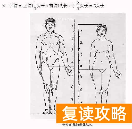北京市成达学校是复读学校吗（成达分享美术：速写人体形体比例与结构）