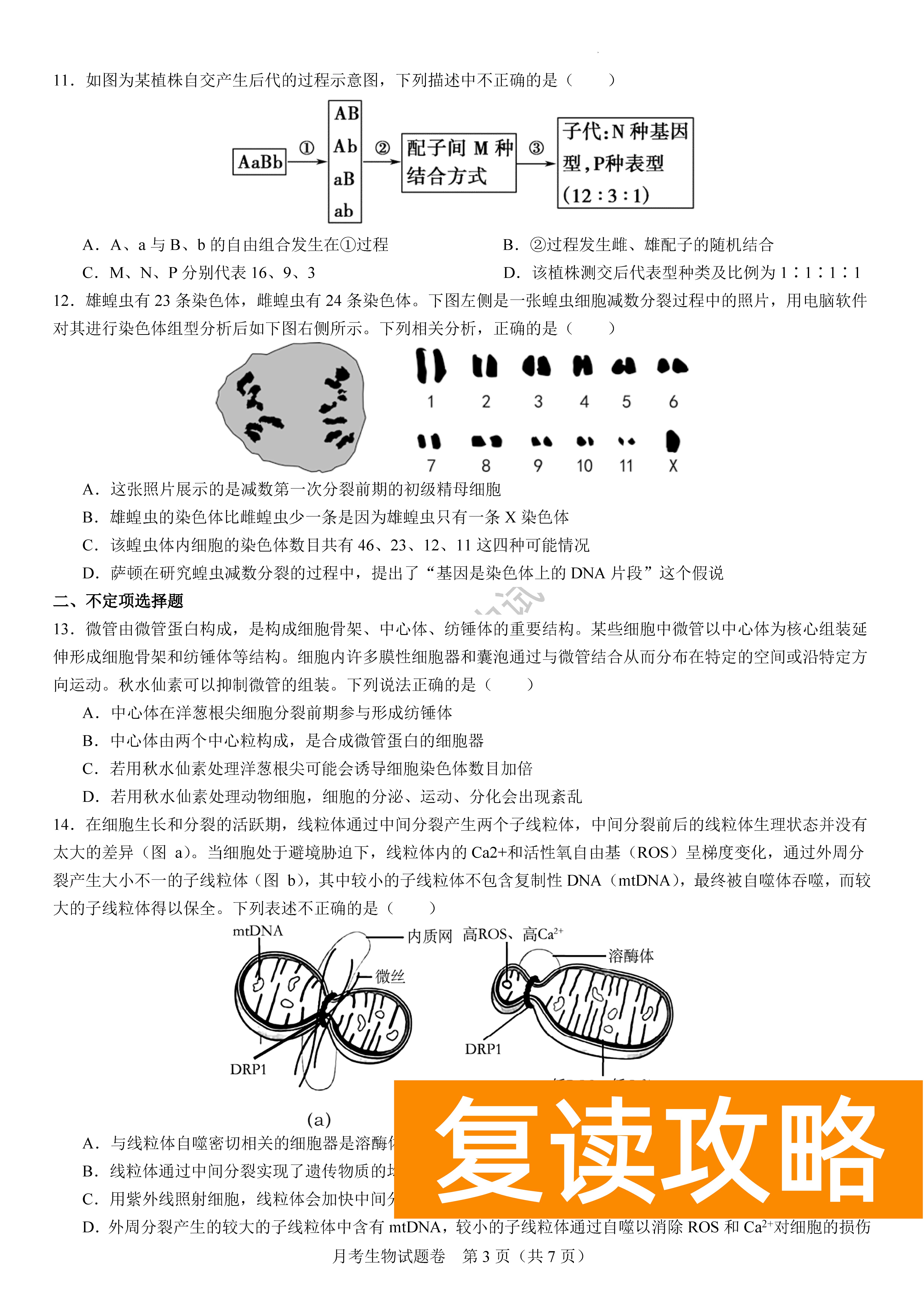 衡阳八中2024届高三上10月月考二生物试题及答案