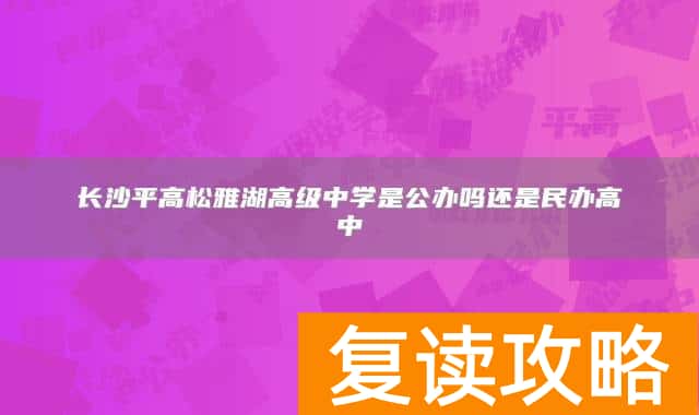 长沙平高松雅湖高级中学是公办吗还是民办高中