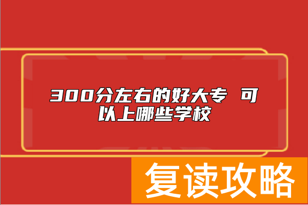 300分左右的好大专 可以上哪些学校