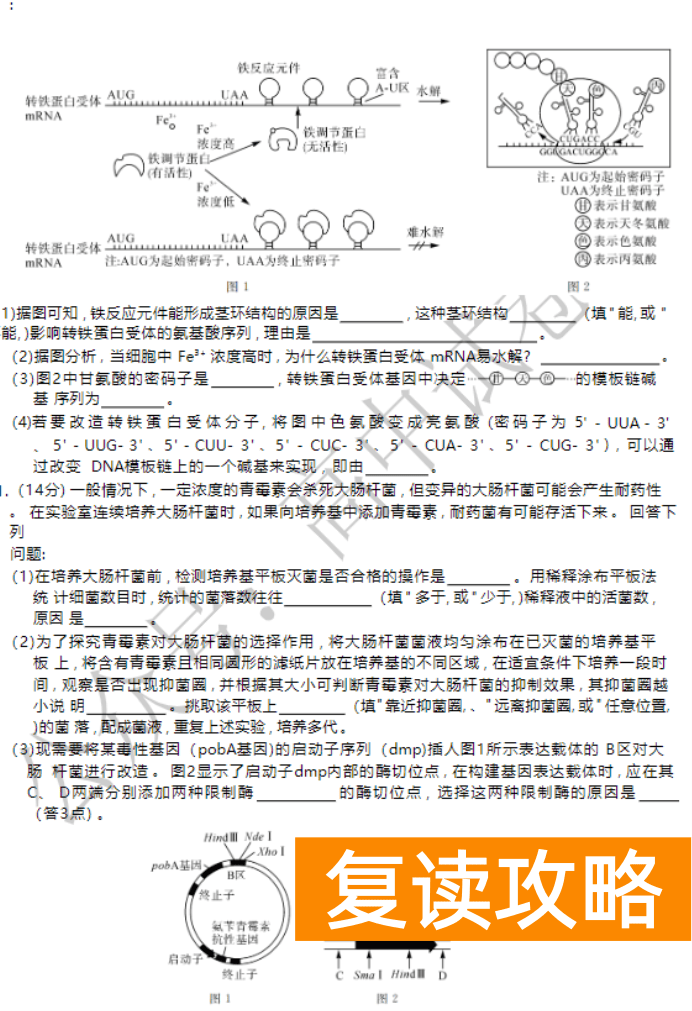 湖南天壹名校联盟2024高三10月大联考生物试题及答案解析