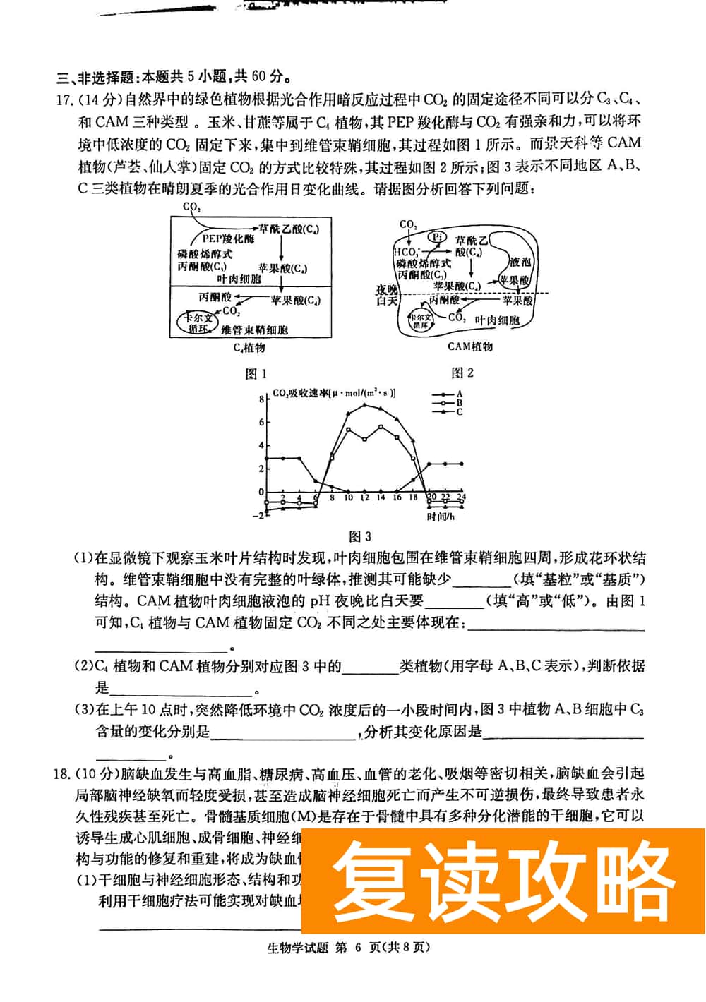 2024届湖南九校联盟高三第一次联考生物试题及答案