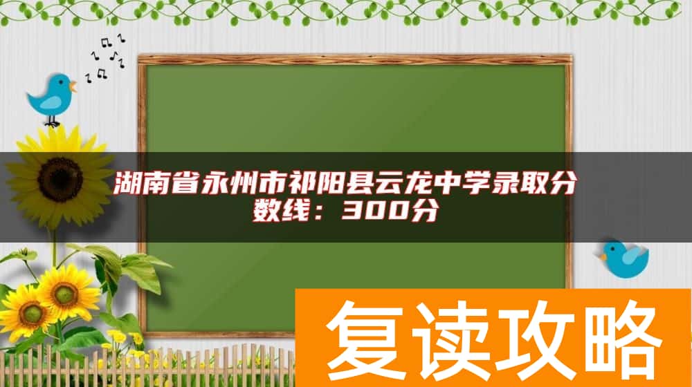 湖南省永州市祁阳县云龙中学录取分数线：300分