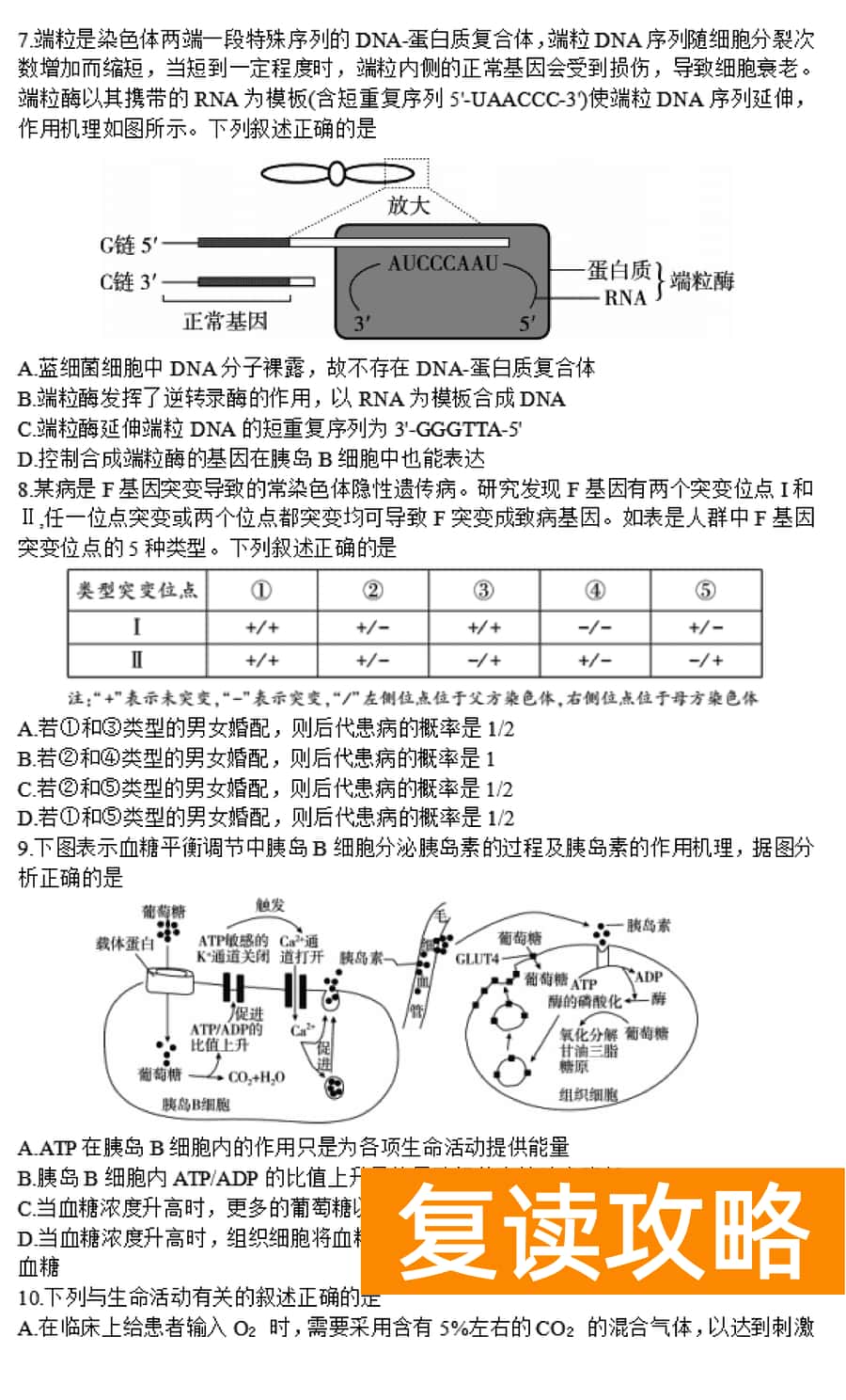 湖南邵阳一模2024届高三上第一次联考生物试卷及答案