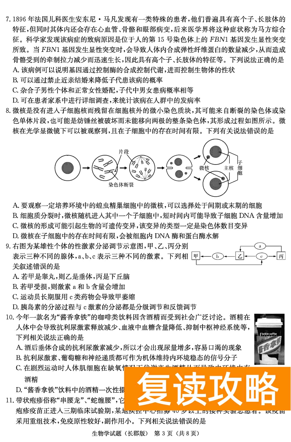 湖南长郡中学2024届高三上学期月考(四)生物试题及答案