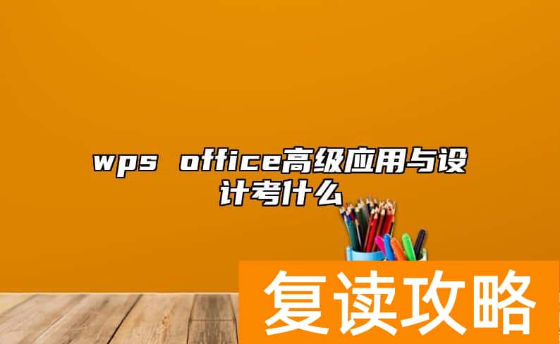 wps office高级应用与设计考什么