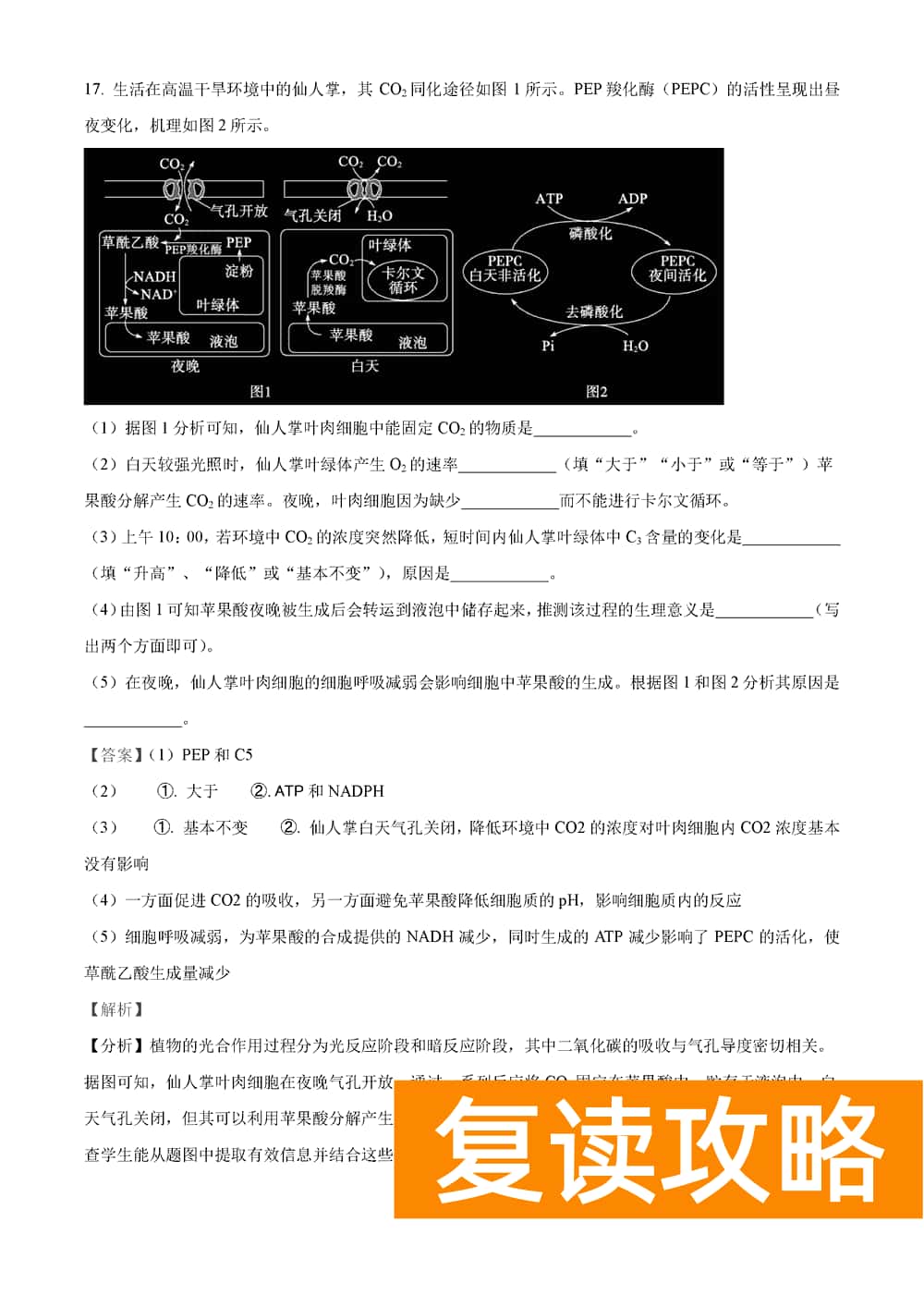湖南岳汨联考2024届高三11月期中联考生物试题及答案