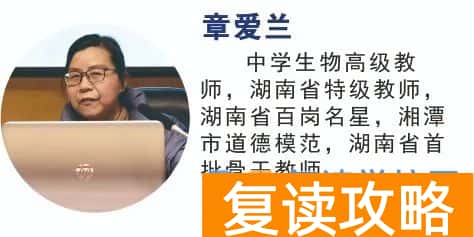 2025届长沙市怡海中学高复部招生简章（2026届参考）
