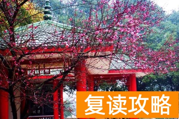 慈利县第二中学是什么示范校吗