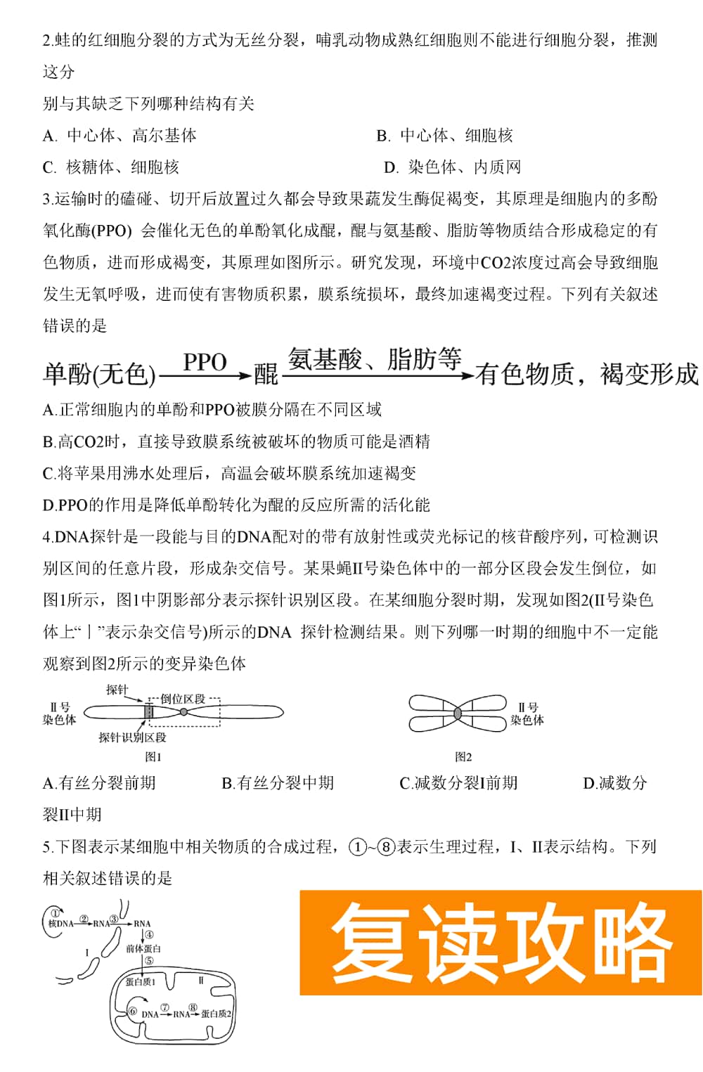 2024届湖南天一大联考高三第三次联考生物试题及答案