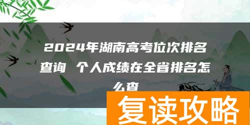 2024年湖南高考位次排名查询 个人成绩在全省排名怎么查