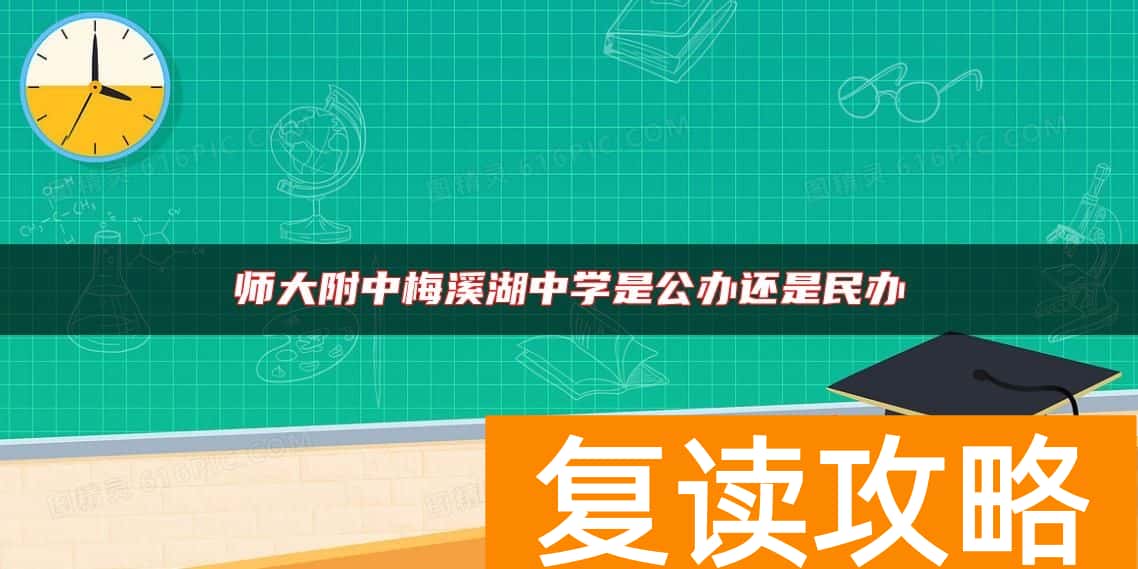 师大附中梅溪湖中学是公办还是民办