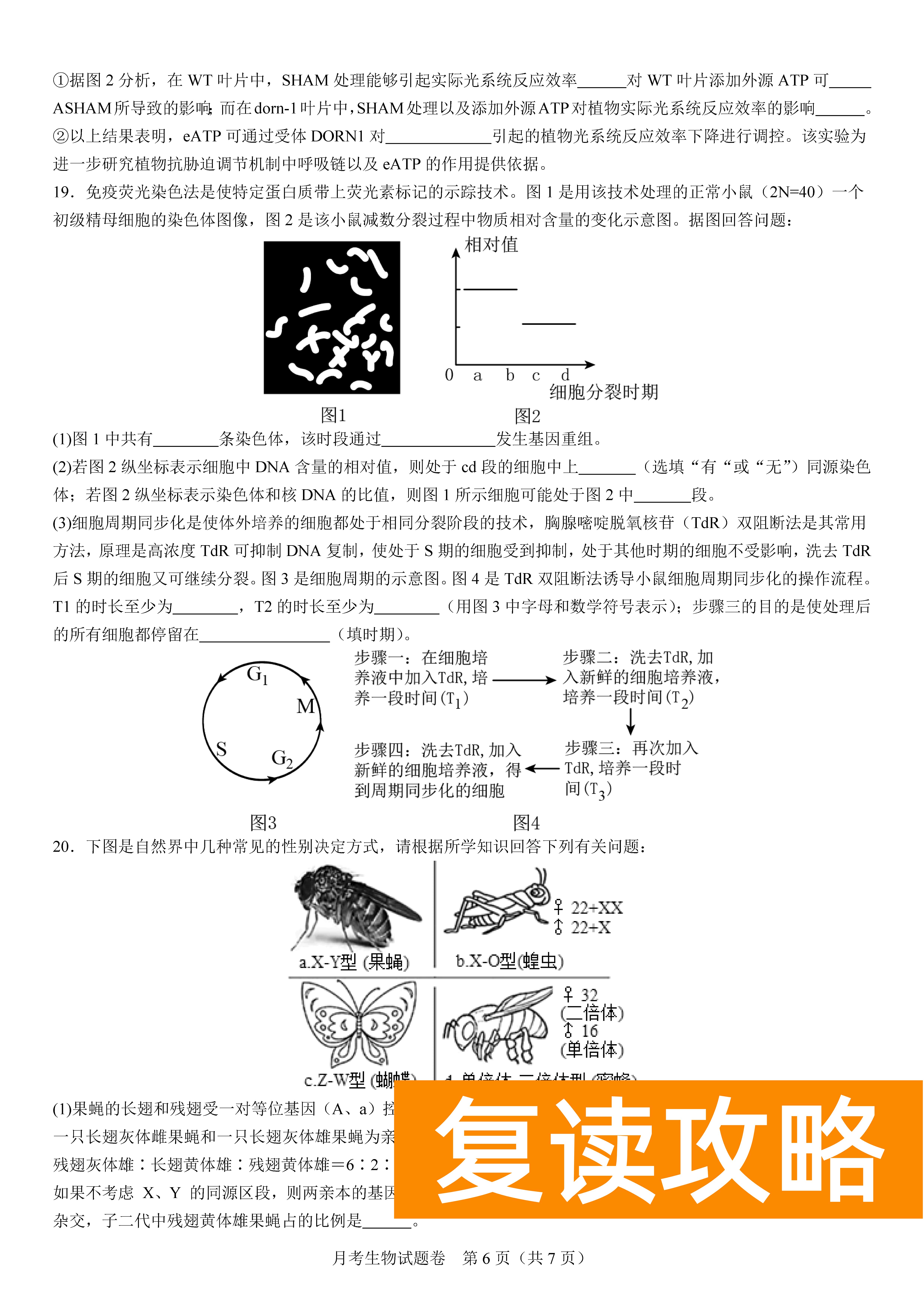 衡阳八中2024届高三上10月月考二生物试题及答案