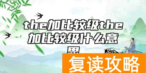 the加比较级the加比较级什么意思