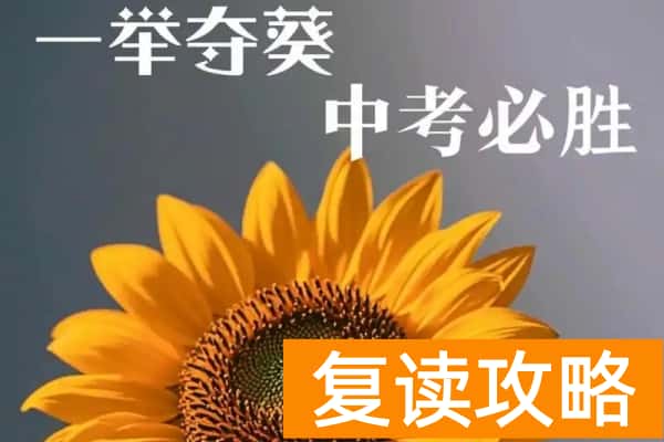 株洲市2025年指标生招生政策知多少？