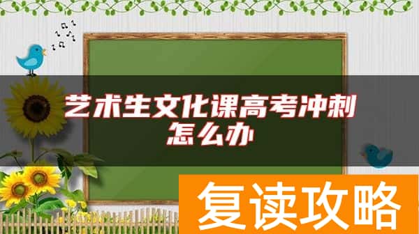 艺术生文化课高考冲刺怎么办