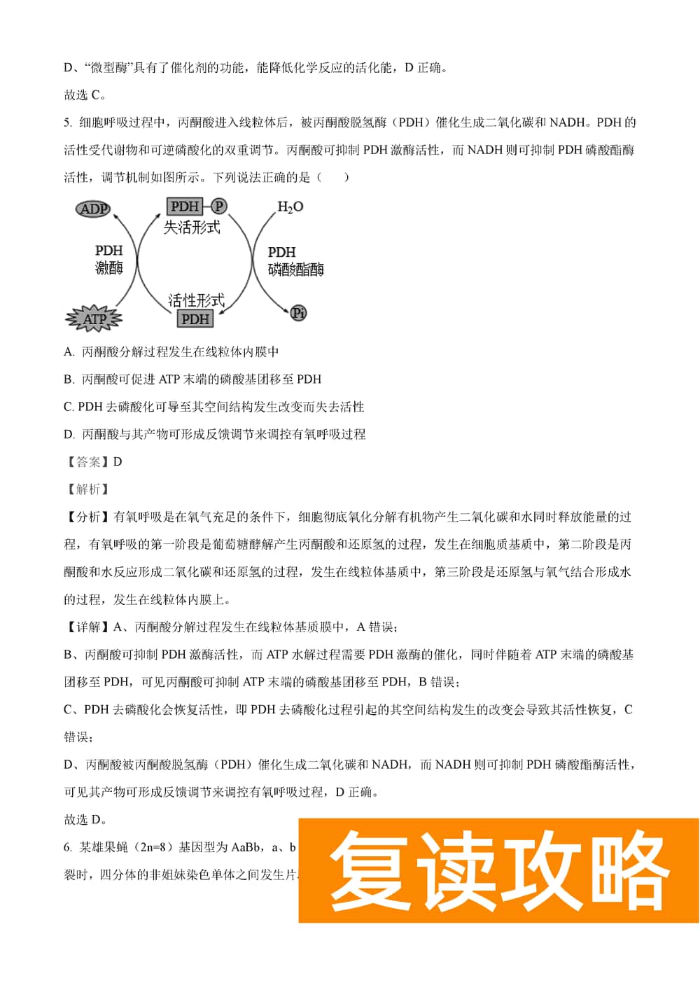 湖南岳汨联考2024届高三11月期中联考生物试题及答案