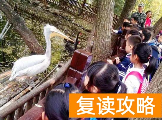 长沙辅仁学校离市中心多远（山大辅仁学校蒙正校区把教室从室内搬到室外）