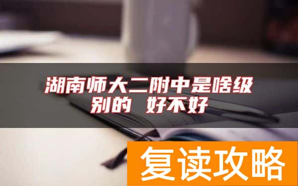 湖南师大二附中是啥级别的 好不好
