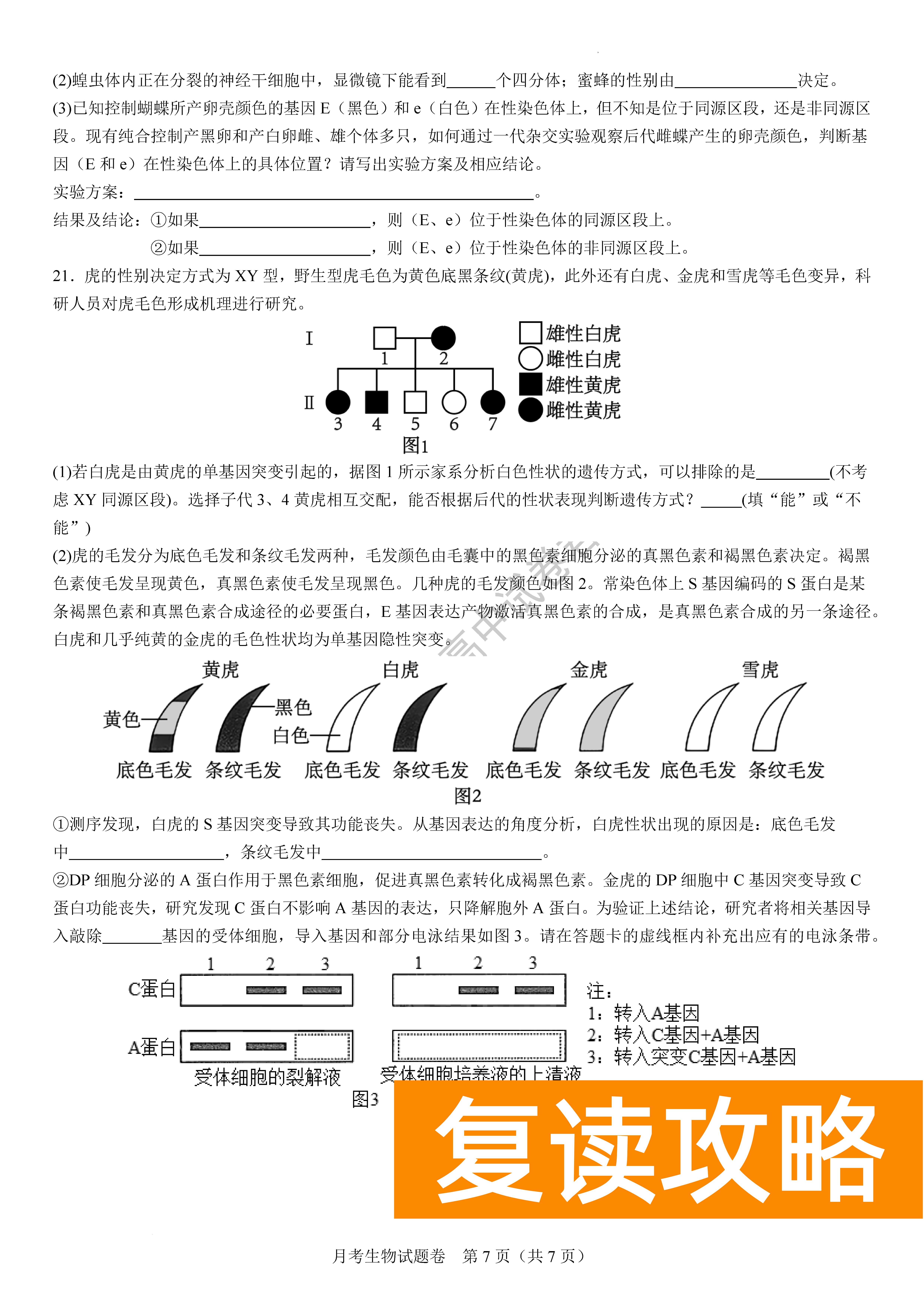 衡阳八中2024届高三上10月月考二生物试题及答案