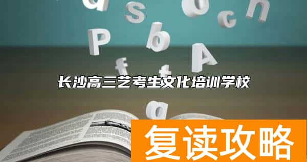 长沙高三艺考生文化培训学校