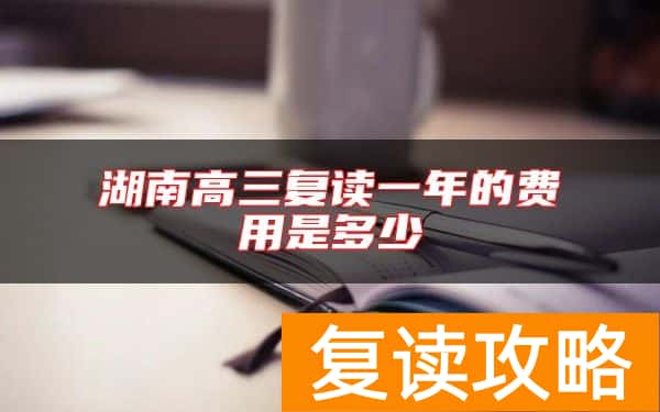 湖南高三复读一年的费用是多少