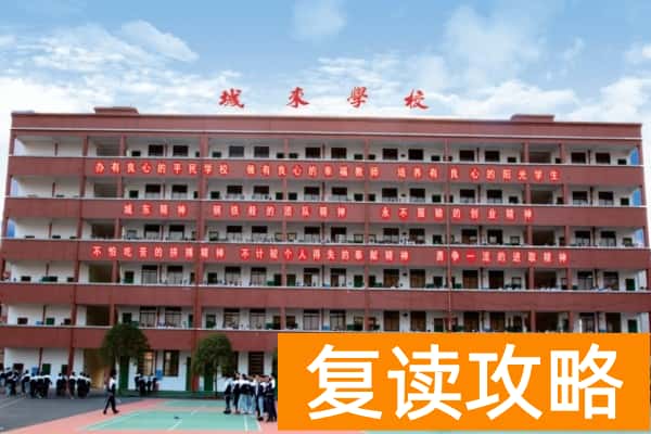 武冈市城东中学是公办还是私立