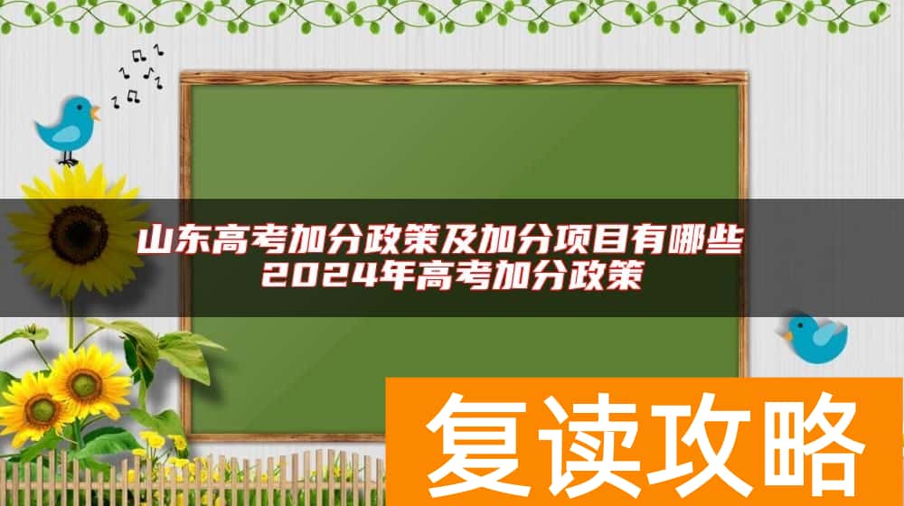 山东高考加分政策及加分项目有哪些 2024年高考加分政策