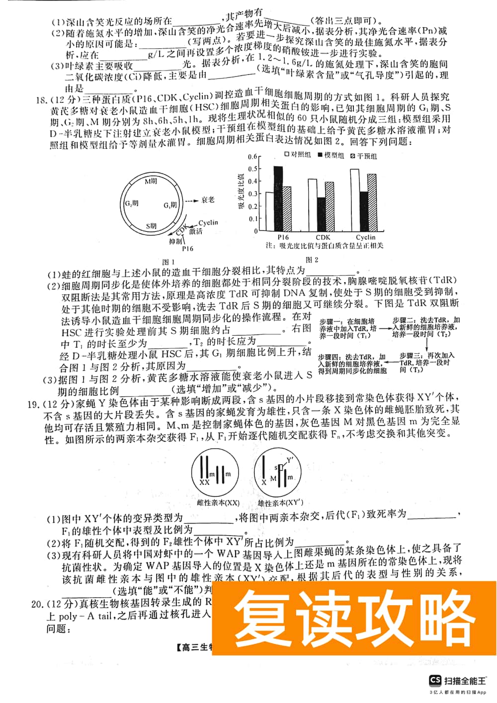2024届湖南天壹名校联盟高三11月质检生物试题及答案