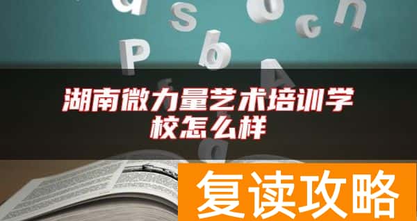 湖南微力量艺术培训学校怎么样