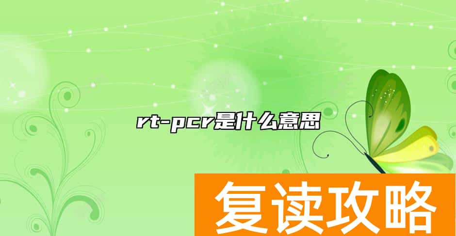 rt-pcr是什么意思