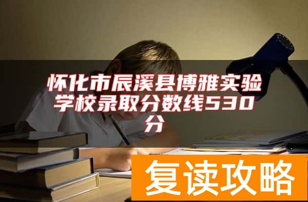 怀化市辰溪县博雅实验学校录取分数线530分